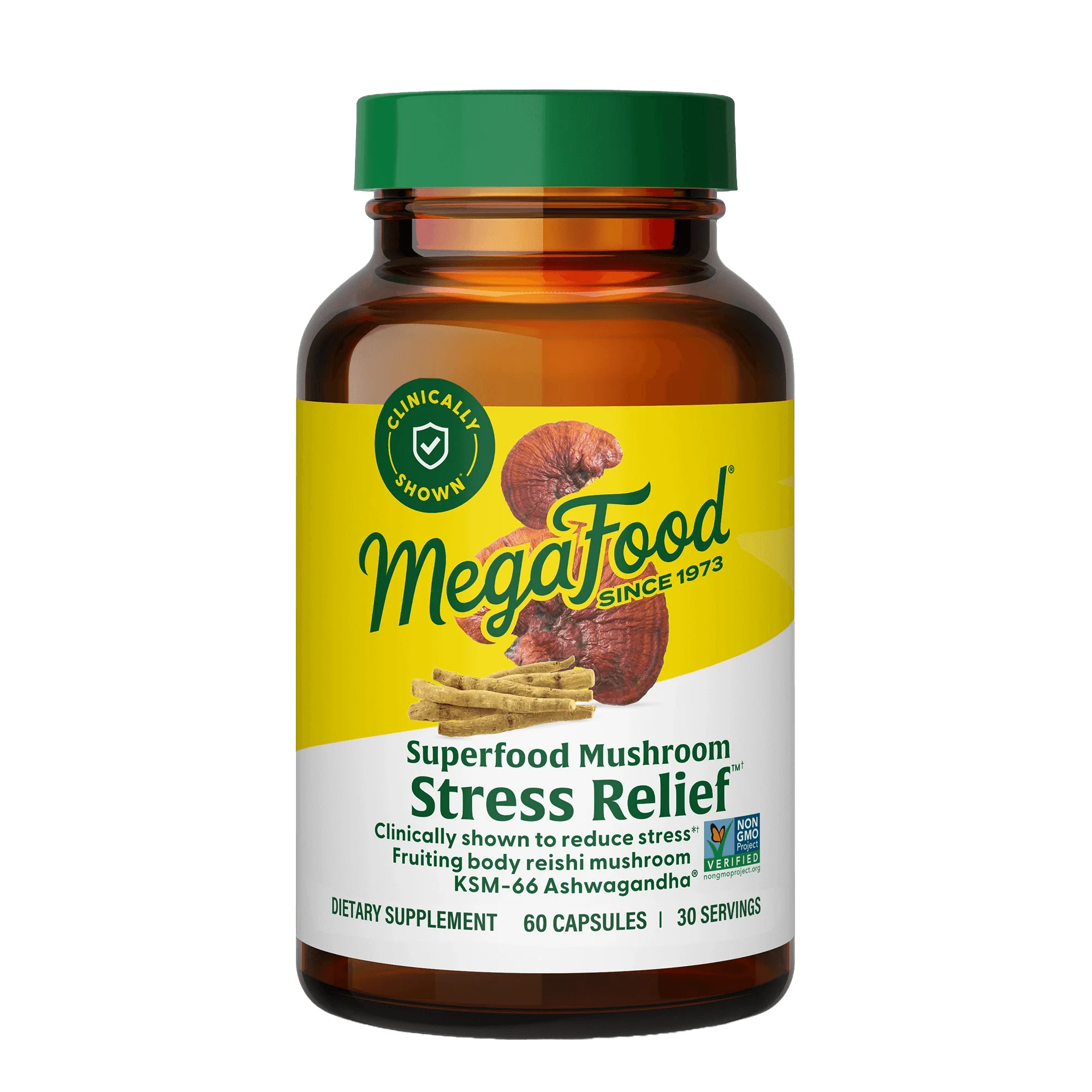 Sleep & Stress